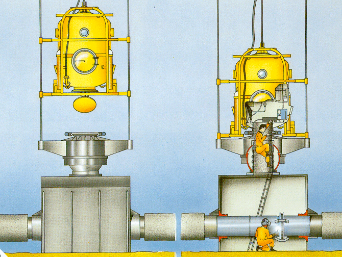 Bell.Pijp.Habitat tek